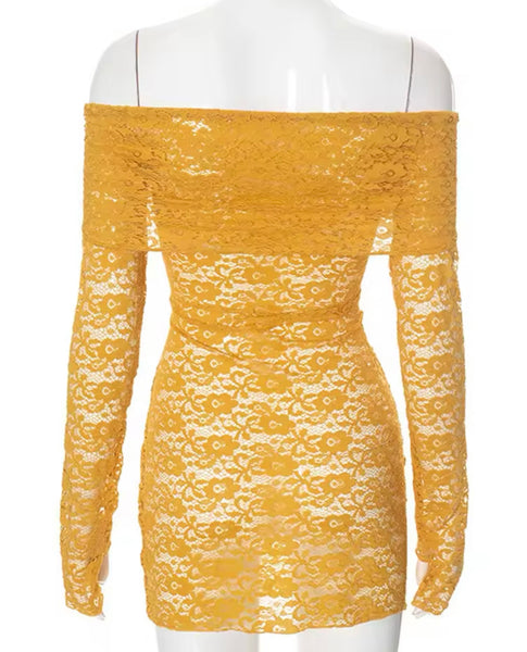 Women Sexy Off The Shoulder Full Sleeve Lace Dress