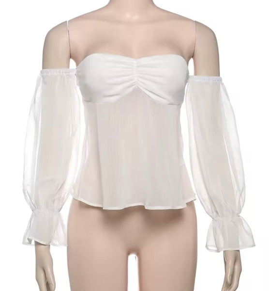 Women Sexy Off The Shoulder Full Sleeve Mesh Top