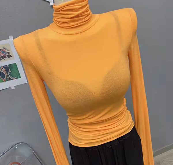 Women Fashion Turtleneck Full Sleeve Mesh Top