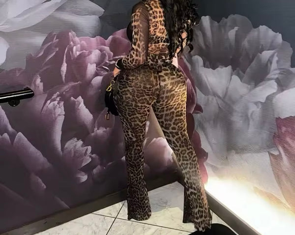 Women Sexy Leopard Print Mesh Full Sleeve Two Piece Pant Set