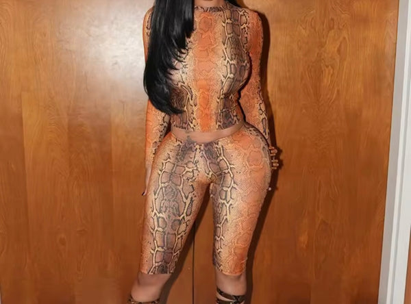Women Fashion Color Animal Print Full Sleeve Two Piece Capri Pant Set