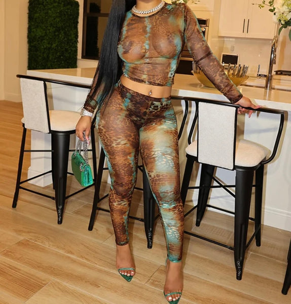 Women Sexy Color Animal Print Mesh Full Sleeve Two Piece Pant Set