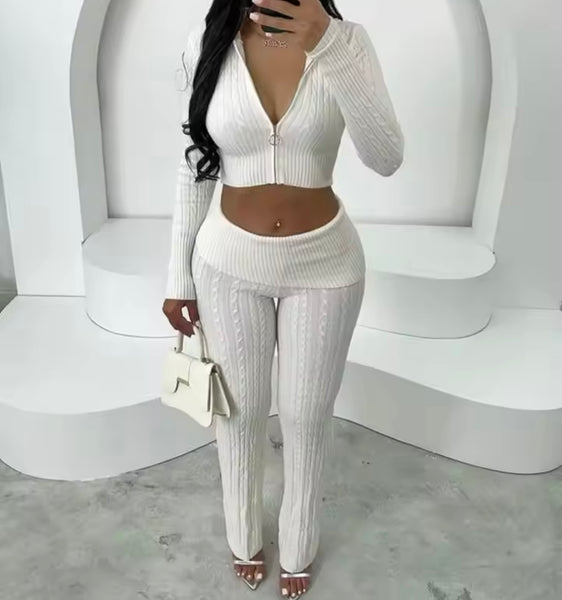 Women Fashion Color Zip Up Hooded Full Sleeve Two Piece Pant Set