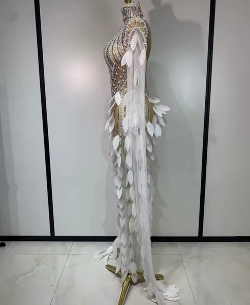 Women Sexy Beaded Feather Mesh Full Sleeve Maxi Dress
