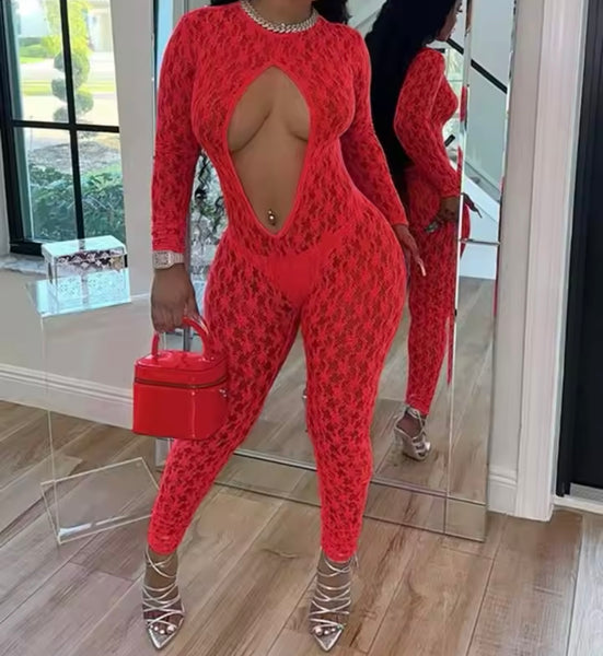 Women Sexy Lace Cut Out Full Sleeve Jumpsuit