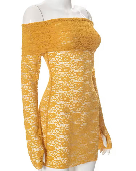 Women Sexy Off The Shoulder Full Sleeve Lace Dress