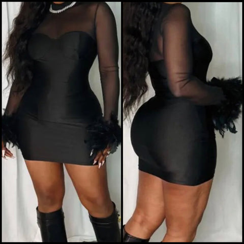 Women Black Sexy Mesh Feather Full Sleeve Dress
