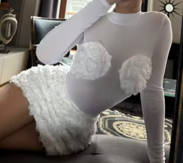 Women White Sexy 3D Floral Mesh Bodysuit Two Piece Skirt Set