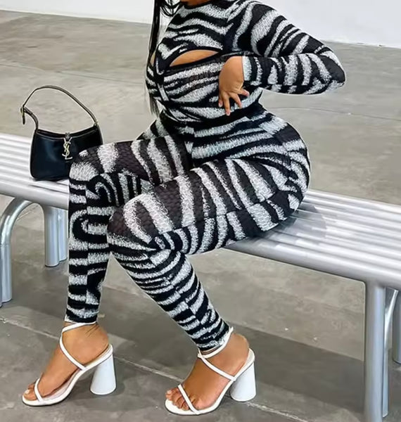 Women Sexy B&W Zebra Print Mesh Two Piece Pant Set