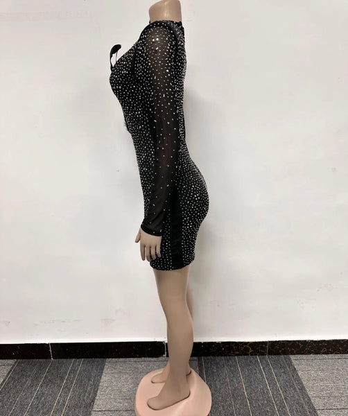 Women Sexy Feather Bling Mesh Full Sleeve Dress