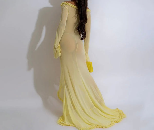 Women Sexy Full Sleeve Ruffled Cut Out Mesh Maxi Dress