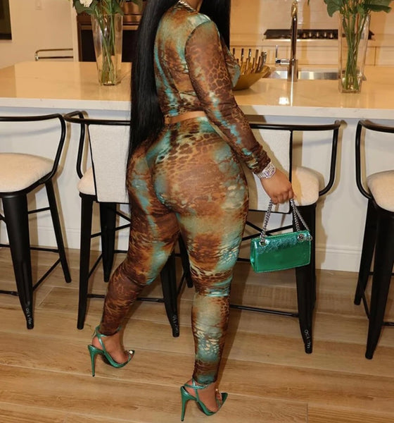 Women Sexy Color Animal Print Mesh Full Sleeve Two Piece Pant Set