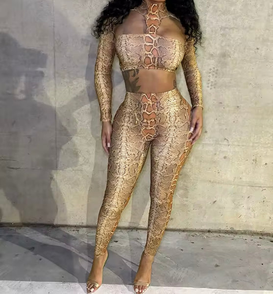 Women Sexy Fashion Animal Print Crop Two Piece Pant Set