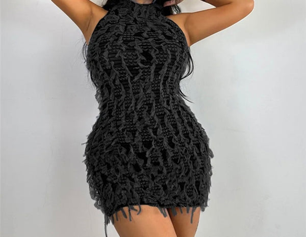 Women Sexy Sleeveless Color Fringe Mesh Dress
