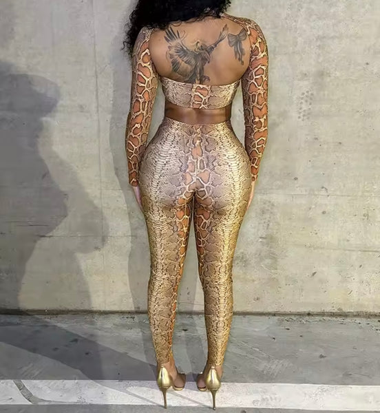 Women Sexy Fashion Animal Print Crop Two Piece Pant Set