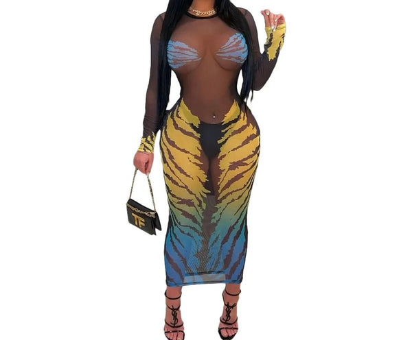 Women Sexy Colorful Print Black Mesh Full Sleeve Dress