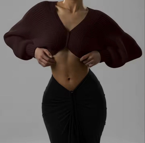 Women Ribbed Knitted Fashion Full Sleeve Crop Sweater Top