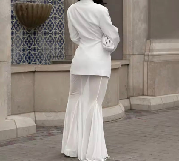 Women Sexy Full Sleeve Blazer Two Piece Mesh Maxi Skirt Set