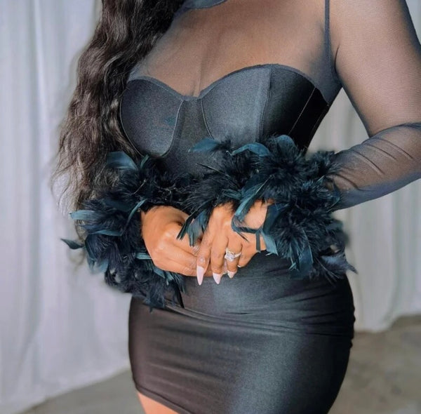 Women Black Sexy Mesh Feather Full Sleeve Dress