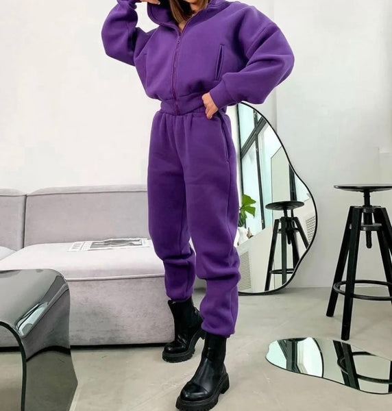 Women Fashion Color Hooded Zip Up Two Piece Tracksuit Pant Set