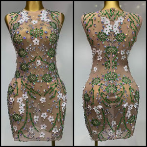 Women Sexy Sleeveless Floral Color Crystal Mesh Dress