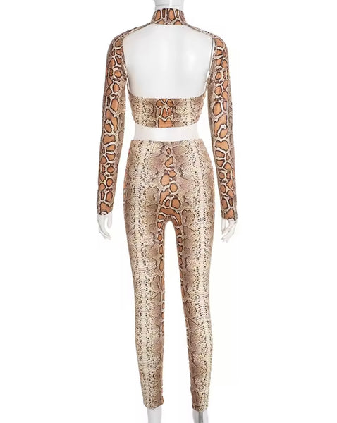 Women Sexy Fashion Animal Print Crop Two Piece Pant Set