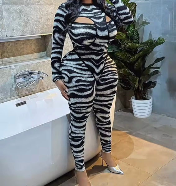 Women Sexy B&W Zebra Print Mesh Two Piece Pant Set