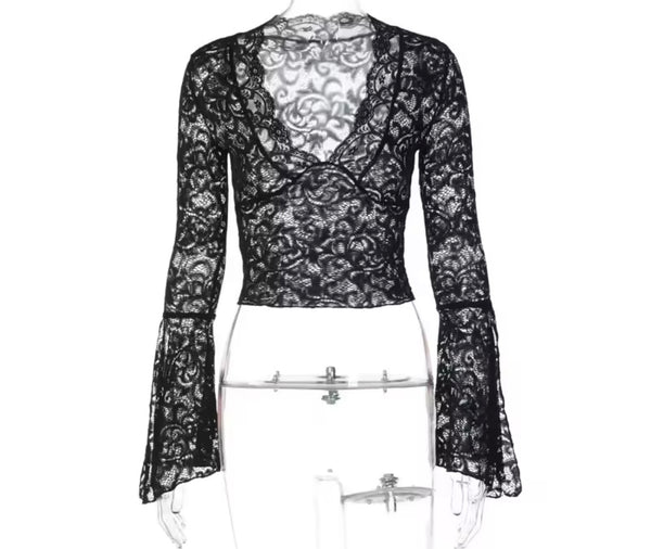 Women Color Lace V-Neck Full Sleeve Crop Top