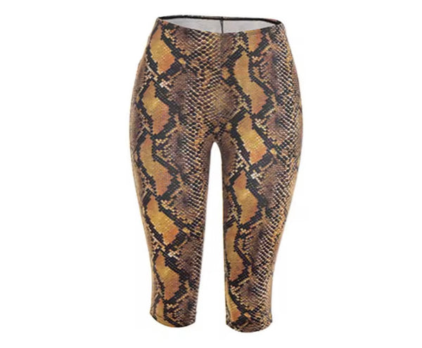 Women Sleeveless Animal Print Sexy Two Piece Short Set
