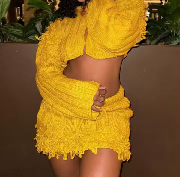 Women Yellow Knitted Fringe Full Sleeve Fashion Two Piece Skirt Set