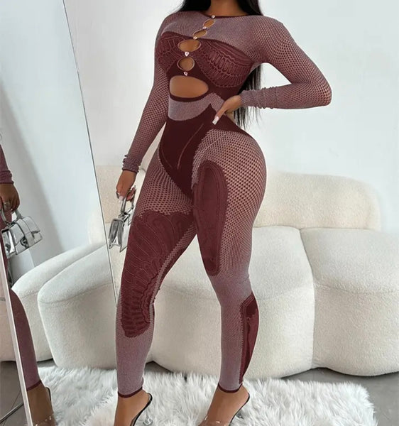 Women Sexy Cut Out Full Sleeve Mesh Patchwork Jumpsuit