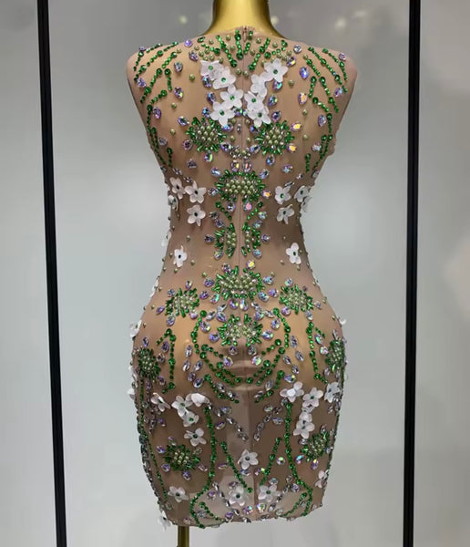 Women Sexy Sleeveless Floral Color Crystal Mesh Dress
