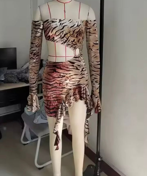 Women Sexy Off The Shoulder Full Sleeve Leopard Cut Out Dress
