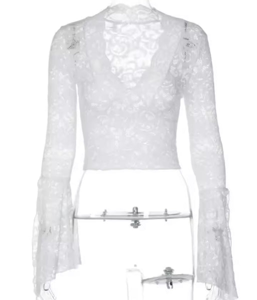Women Color Lace V-Neck Full Sleeve Crop Top