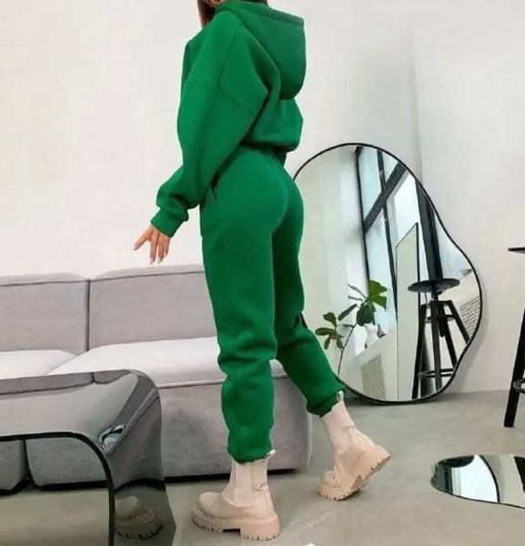 Women Fashion Color Hooded Zip Up Two Piece Tracksuit Pant Set