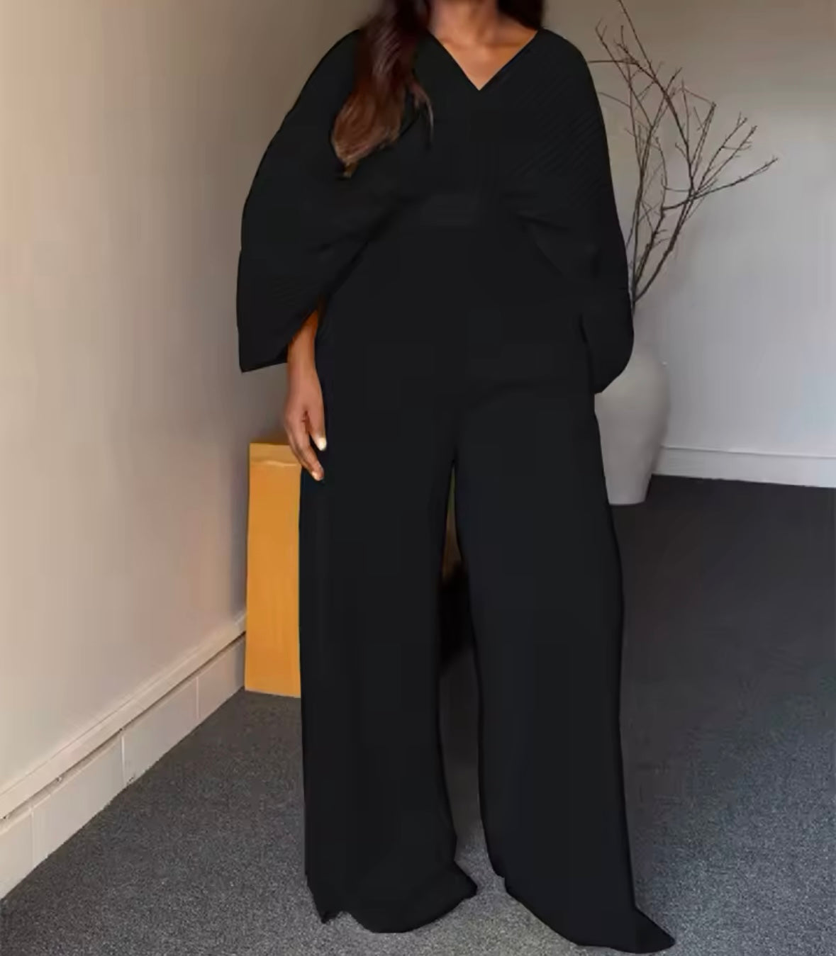 Women Solid Color Pleated Two Piece Fashion Pant Set