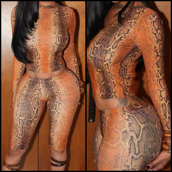 Women Fashion Color Animal Print Full Sleeve Two Piece Capri Pant Set