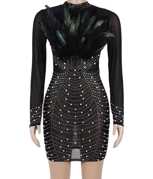 Women Sexy Black Beaded Bling Feather Mesh Full Sleeve Dress