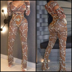 Women Mesh Printed Fashion Full Sleeve Two Piece Pant Set