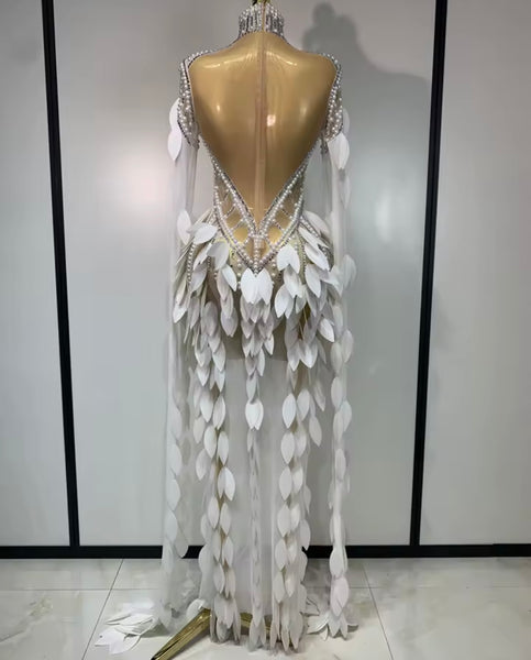 Women Sexy Beaded Feather Mesh Full Sleeve Maxi Dress