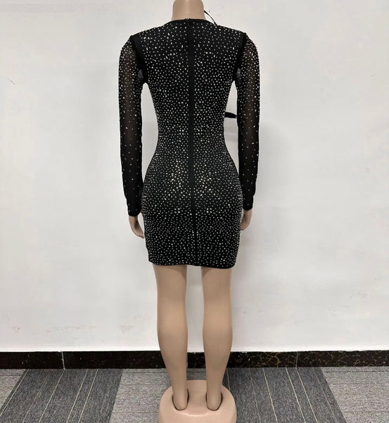 Women Sexy Feather Bling Mesh Full Sleeve Dress