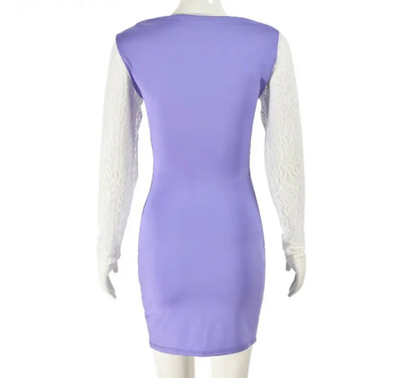 Women Sexy Lace Patchwork Full Sleeve Dress