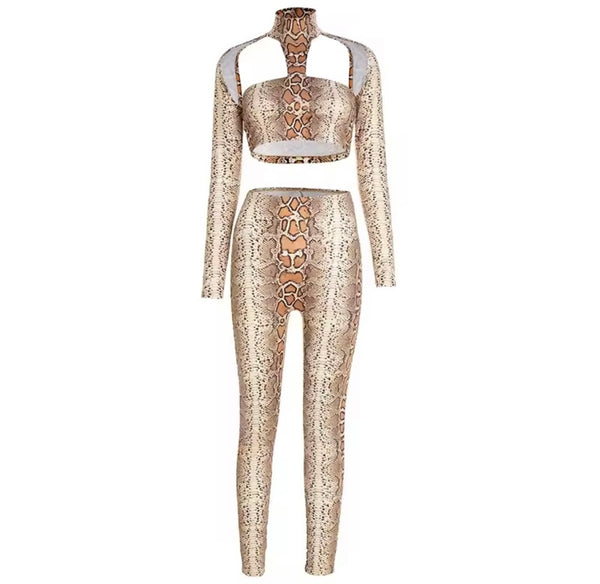 Women Sexy Fashion Animal Print Crop Two Piece Pant Set