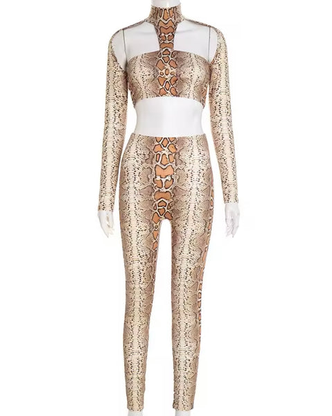 Women Sexy Fashion Animal Print Crop Two Piece Pant Set