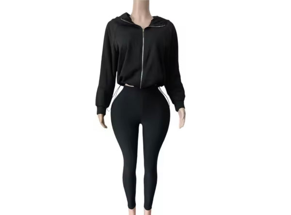 Women Fashion Hooded Zip Up Tracksuit Two Piece Pant Set