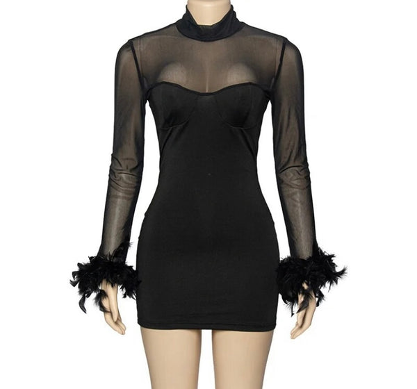 Women Black Sexy Mesh Feather Full Sleeve Dress