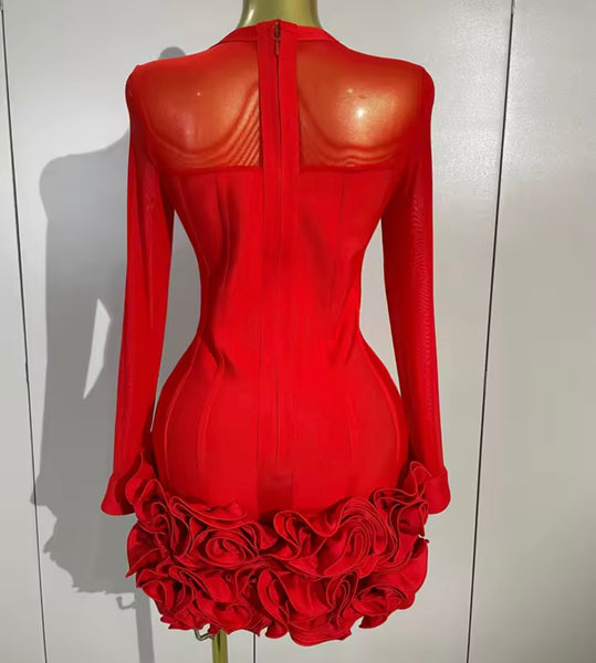 Women Sexy Mesh Full Sleeve Floral Ruffled Dress