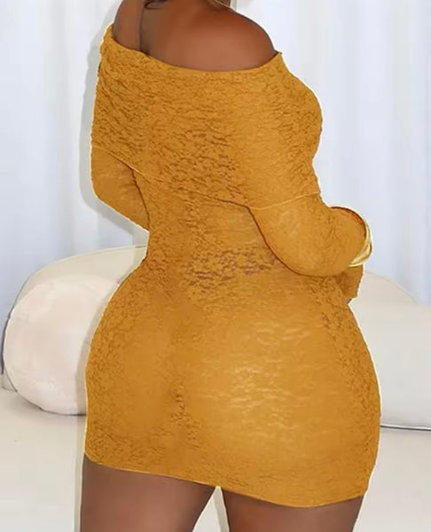 Women Sexy Off The Shoulder Full Sleeve Lace Dress