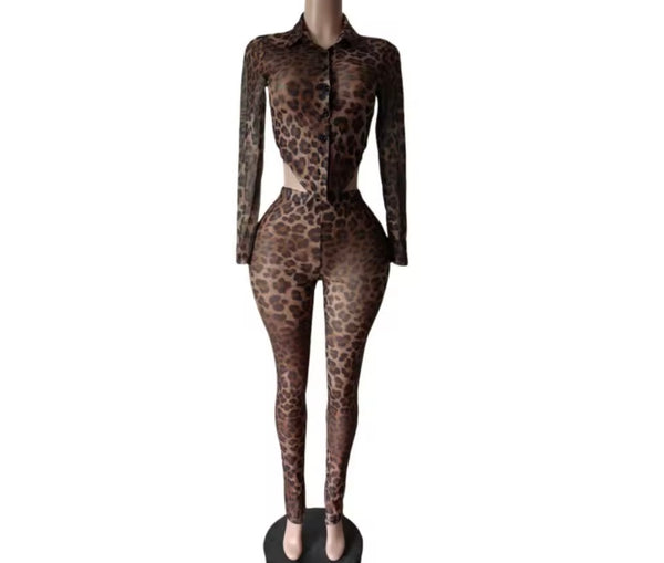Women Button Up Leopard Mesh Fashion Two Piece Pant Set