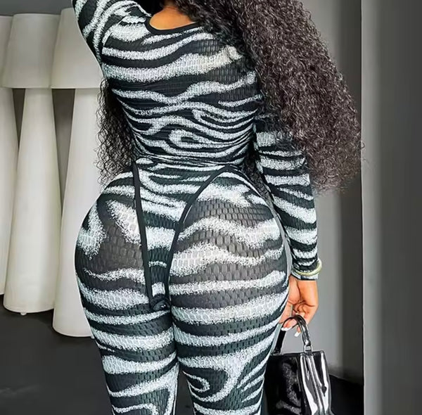Women Sexy B&W Zebra Print Mesh Two Piece Pant Set